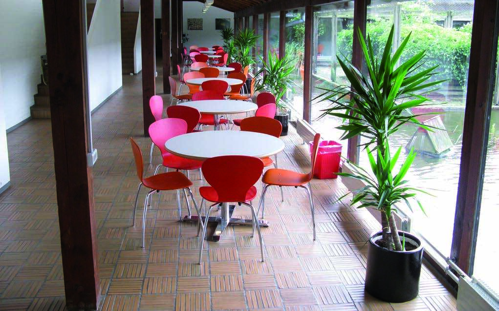 Skive Gymnasium - Billede 2